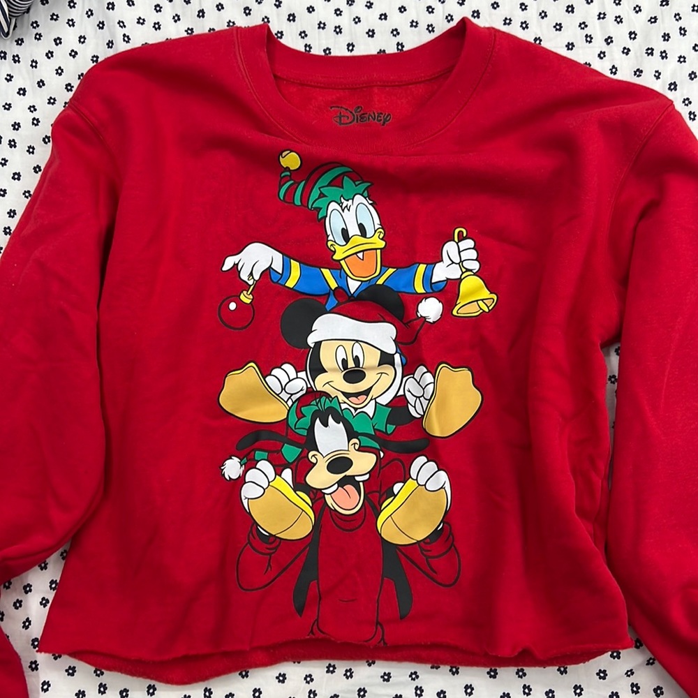 Disney large